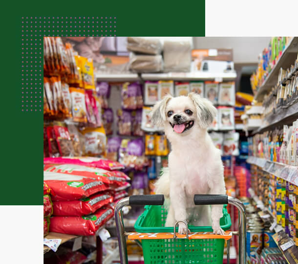 pet shop holi simanovci