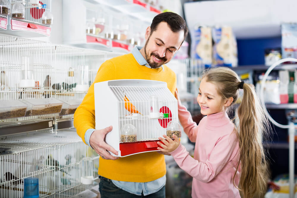 Ptice kao kućni ljubimci
