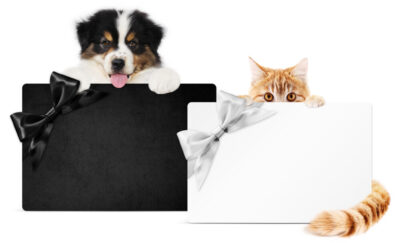 Šta treba da znate pre nego što nekom poklonite kućnog ljubimca